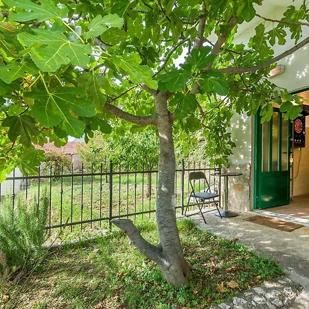 别墅 Villa Holiday Home Zvecanje Zvecanje